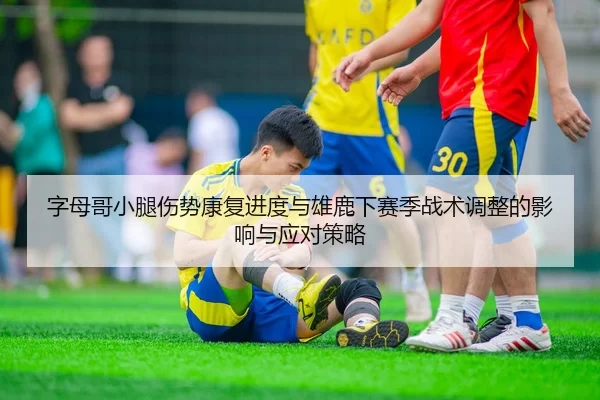 字母哥小腿伤势康复进度与雄鹿下赛季战术调整的影响与应对策略
